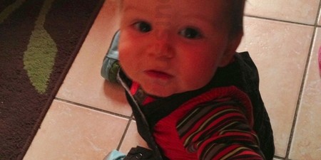 Au secours mon bébé veut déjà marcher – Quoi de neuf les loulous n°67