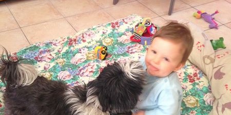 Les enfants et les animaux