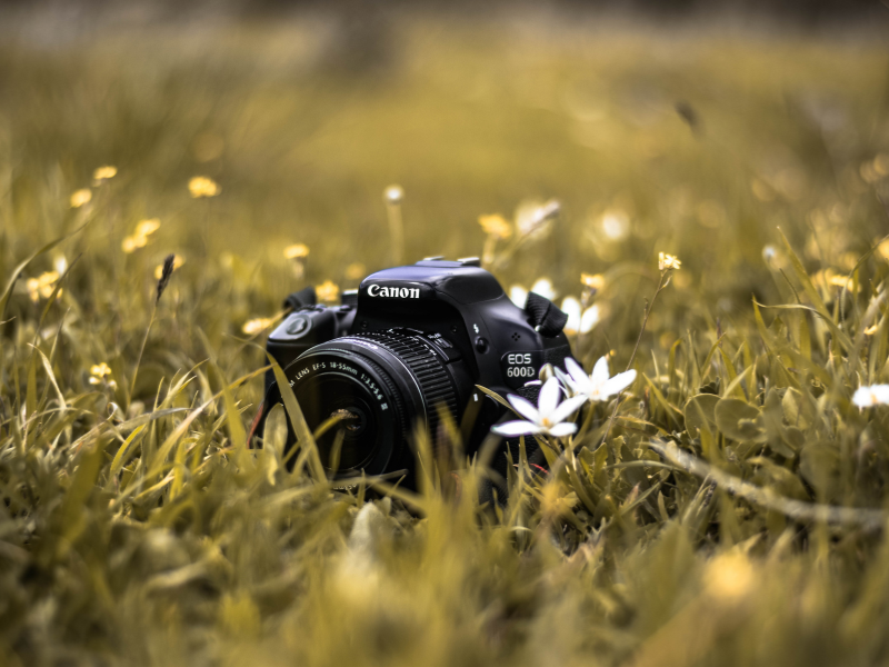 Appareil photo posé dans l'herbe - Photographe de famille à Marseille : des photos naturelles et pleines de vie