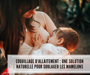 Lire la suite à propos de l’article Coquillage d&rsquo;allaitement : une solution naturelle pour soulager les mamelons